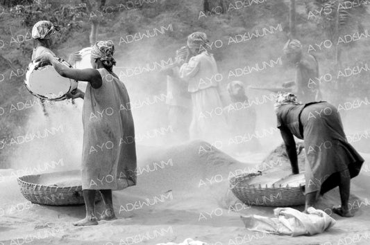 Harvest Veil | Photography on Canvas | 183 x 122 cm