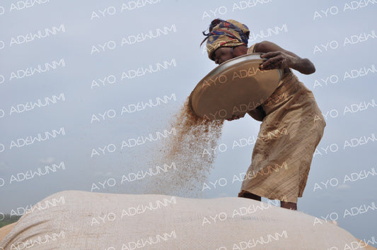 Grain of Time | Photography on Canvas | 183 x 122 cm