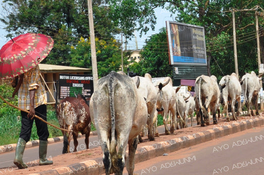 The Road We Share | Photography on Canvas | 183 x 122 cm