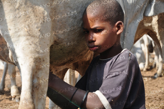 The First Labor | Photography on Canvas | 183 x 122 cm
