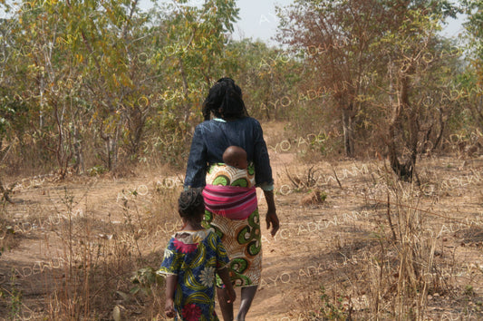 Paths of Bond | Photography on Canvas | 183 x 122 cm