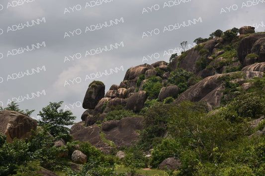 Jos Stones | Photography on Canvas | 183 × 122 cm