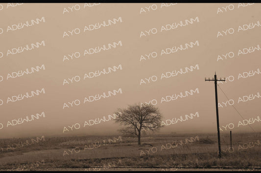 Lone Witness | Photography on Canvas | 183 × 122 cm