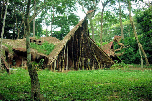 Ancestors | Photography on Canvas | 183 x 122 cm